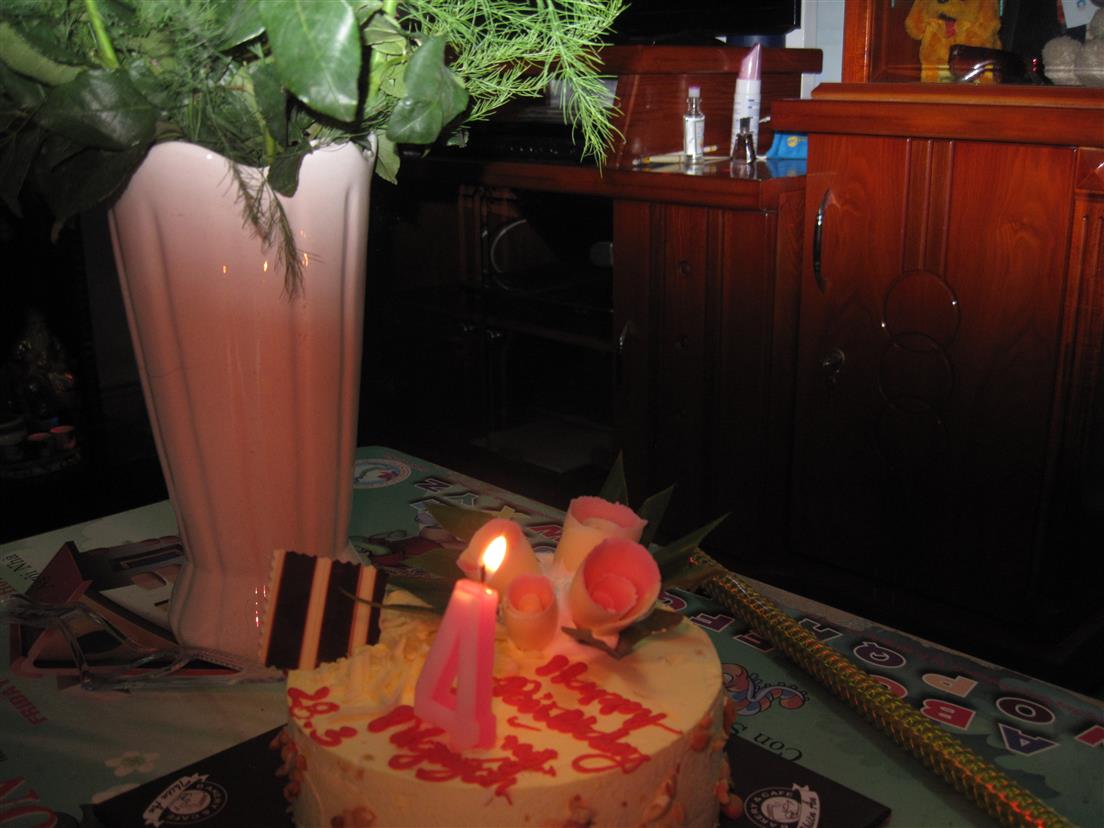 IMG 0231 (Custom)